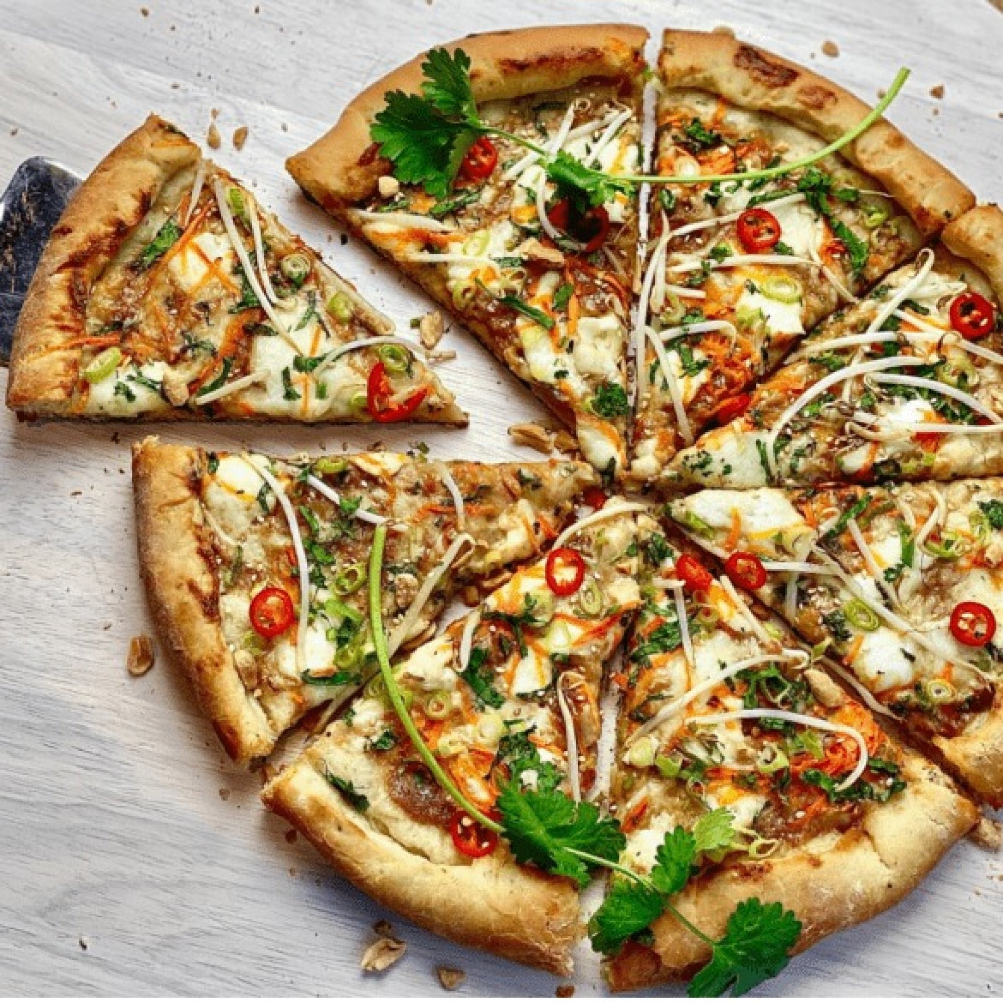 Chicken Veg. Pizza